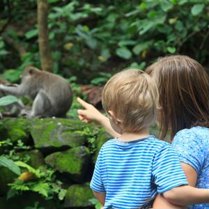 The Virginia Zoo is one of many family activities the Norfolk area has to offer.