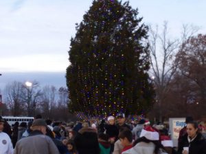 Fort Lee's Grand Illumination Christmas Tree 2018 Current Alt Text | Omni Military Loans