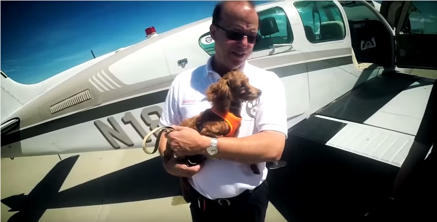 Planes, Pilots and a Poodle from Korea – Another Pilots N Paws Rescue Mission