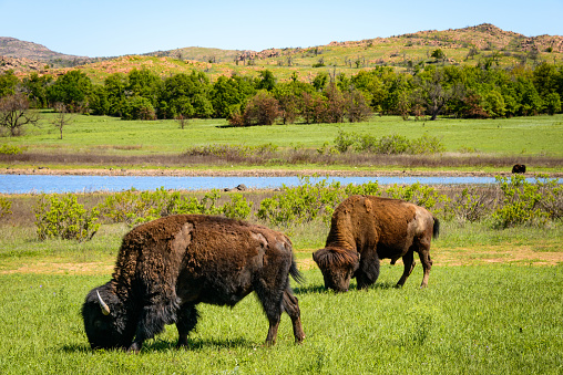 Fun Things to do Around Fort Sill