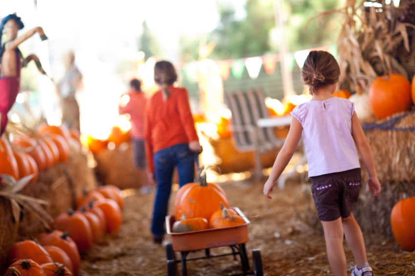 10 Free Family-Friendly Fall Outdoor Activities